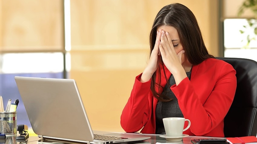 Executive Protection Services